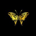 PIXIE BUTTERFLY